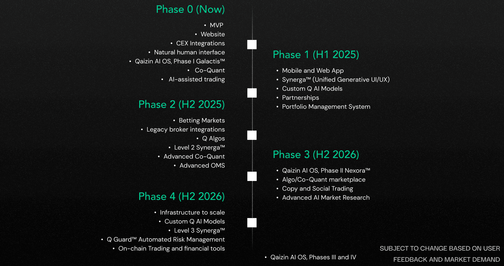 Qaizin Development Roadmap showing phases from now through 2026